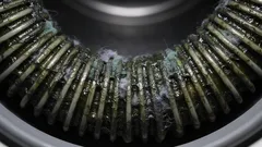 Wasmachinegeur: de oorzaak ligt niet waar je denkt dat hij ligt